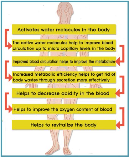 Blood Revitalization