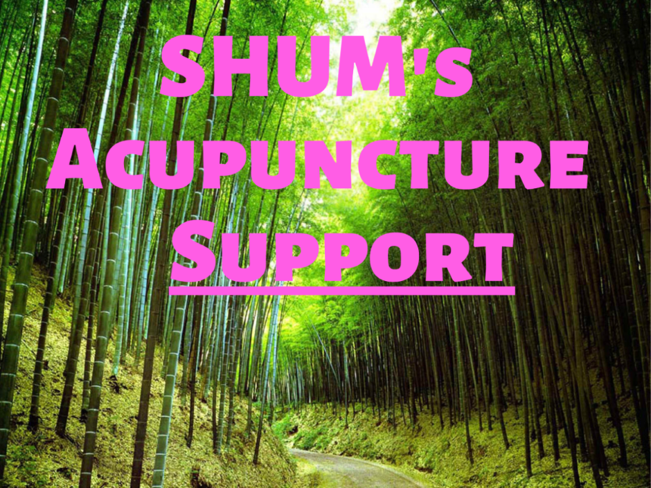 Acupuncture Support