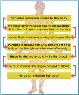 How Infrared Revitalize Blood 